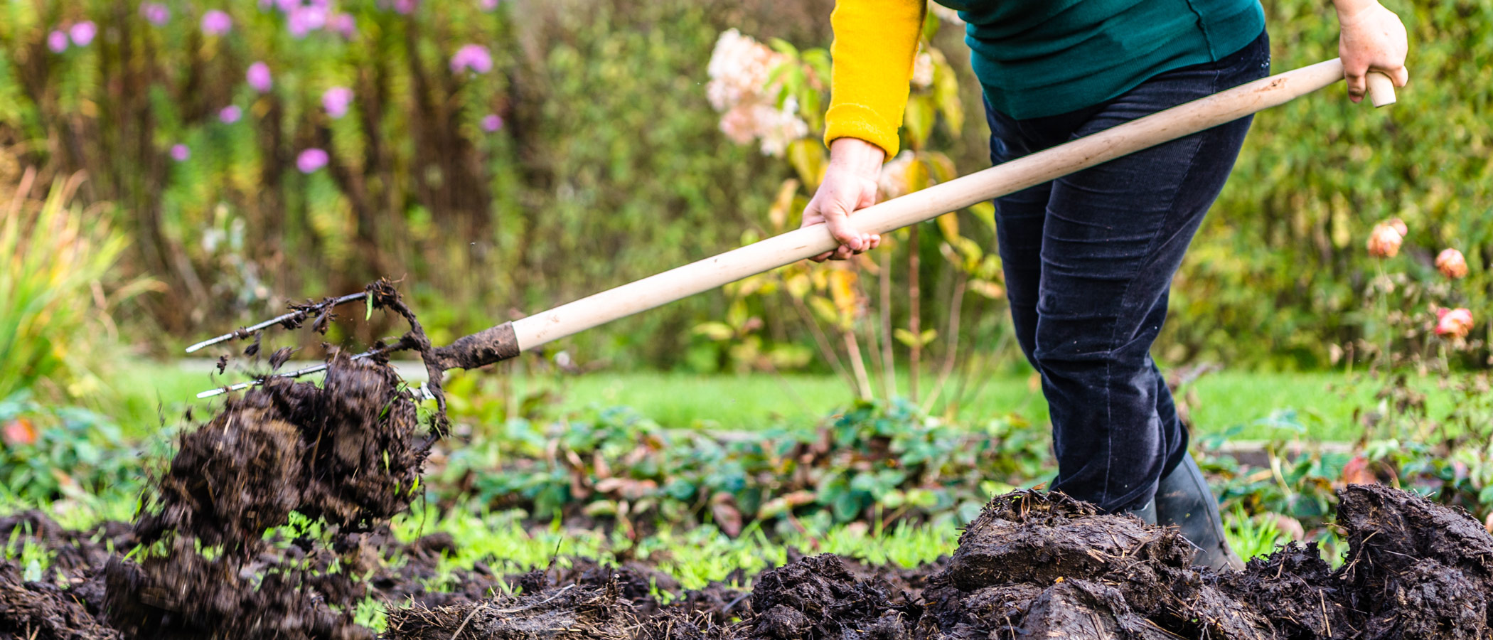 Forking manure